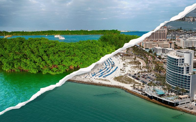 Florida’s Wildlife at a Crossroads: What the “Blanket Rule” Rollback Means for Our Coastlines